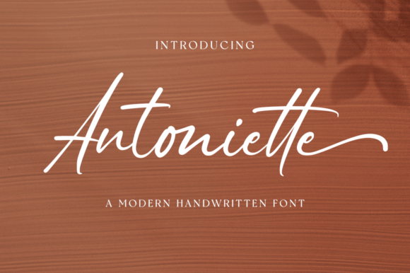 Antoniette: A Charming Script Font for Elegant Brand Identities