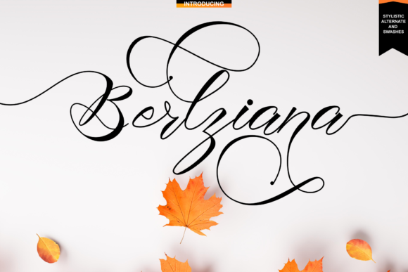 Berlziana Font: Elevating Brand Elegance for Small Businesses