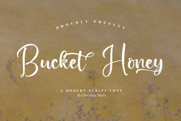 Bucket Honey: A Chic Script Font for Modern Branding Projects