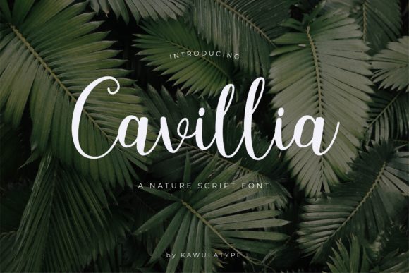 Cavillia: A Delicate Script Font for Elegant Editorial Design
