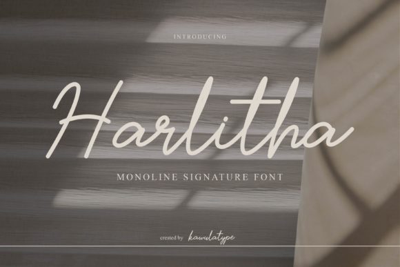 How Choosing the Harlitha Font Gave My Small Business a Polished, Professional Look