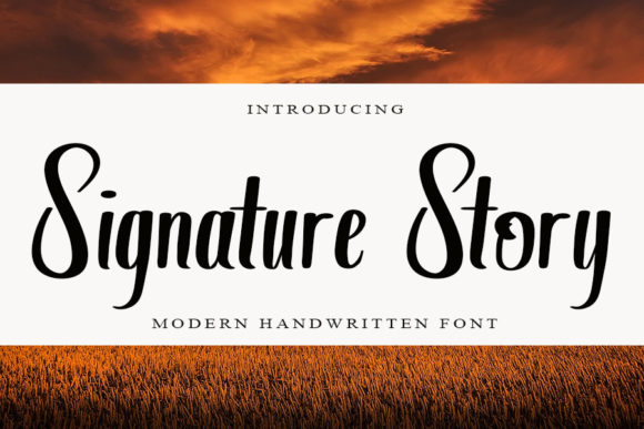 Signature Story Font: A Web Designer’s Review for Digital Branding