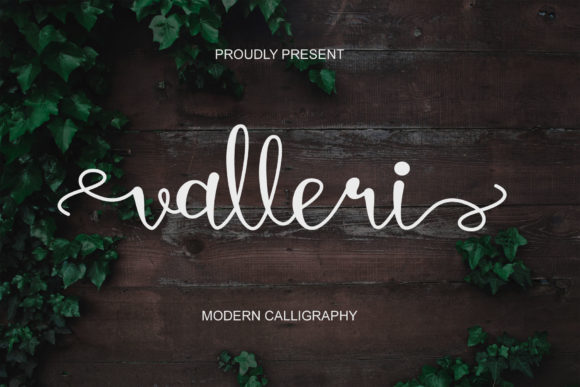 Valleri: A Designer’s Real-World Review for Branding & Design Projects